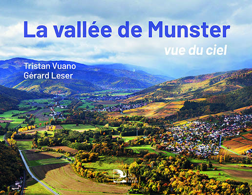 La vallée de Munster vue du ciel