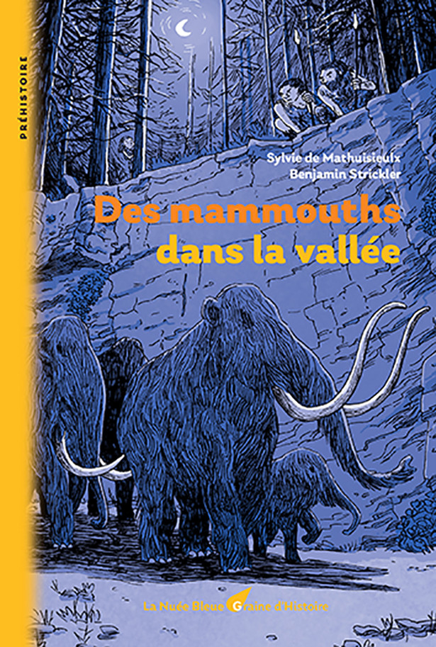 Graine d'Histoire-Des mammouths dans la vallée