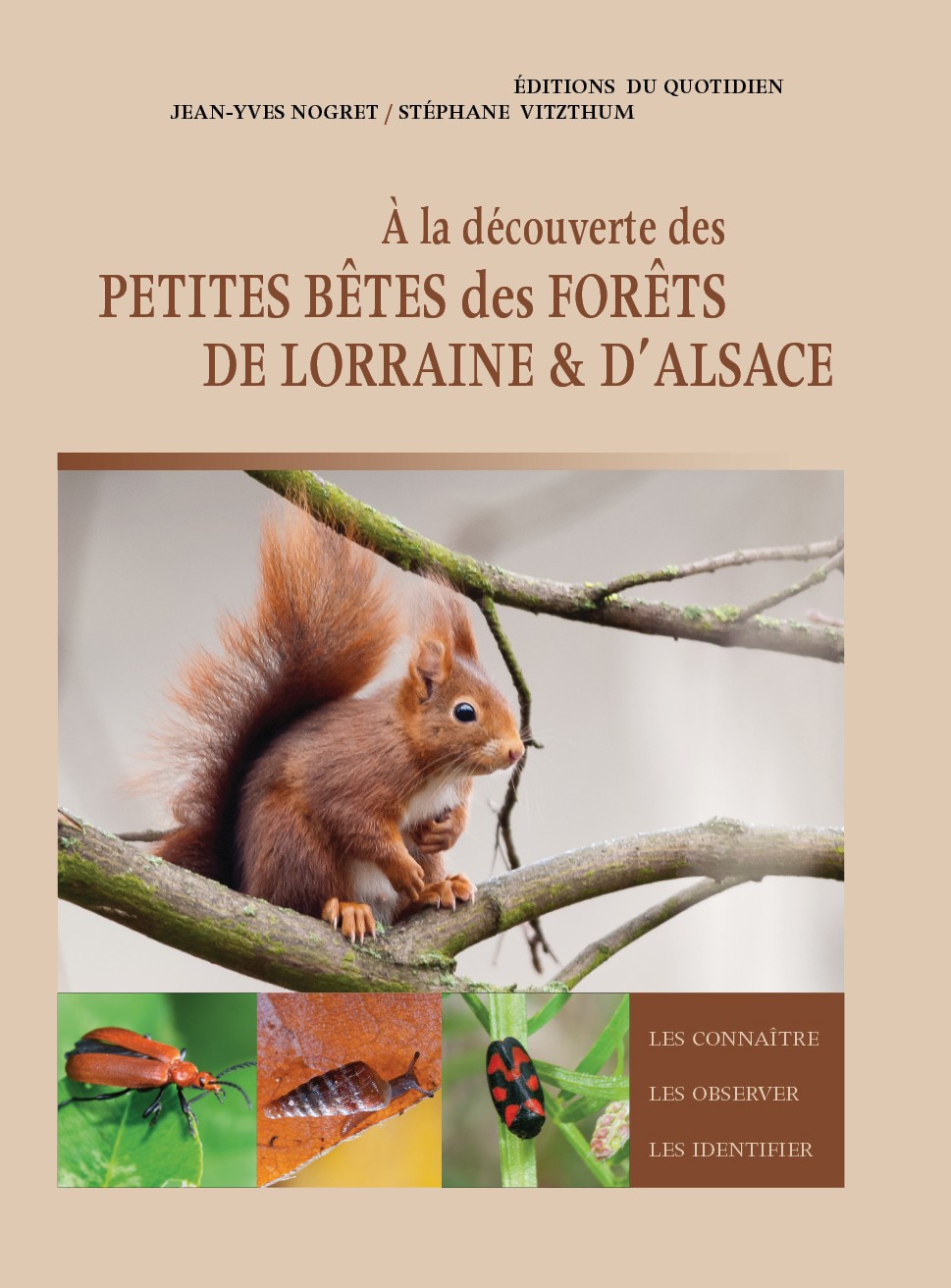A la découverte des Petites bêtes des forêts de Lorraine et d'Alsace