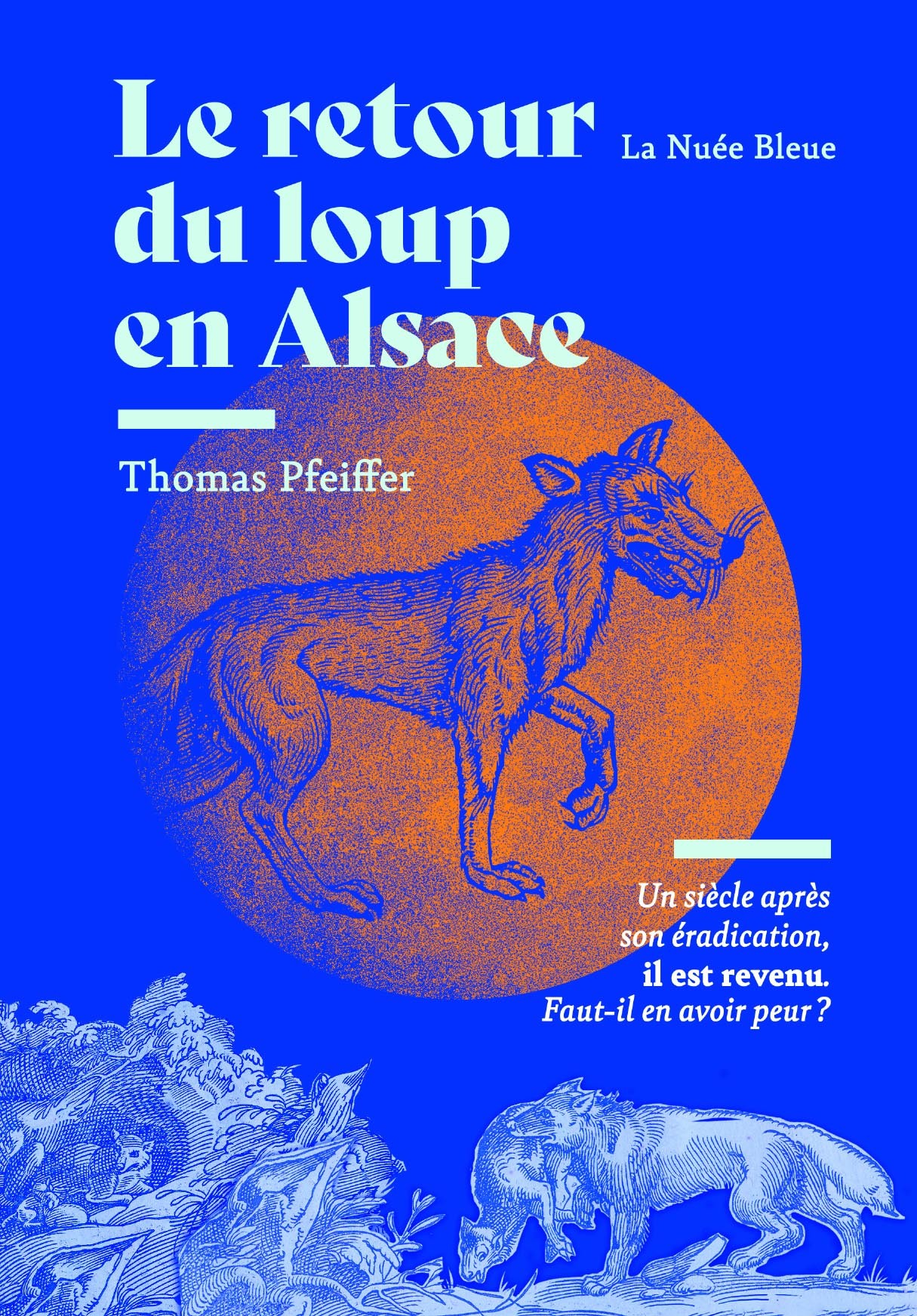 Le retour du loup en Alsace