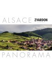 Alsace panorama