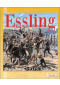 ESSLING Napoleon's First Defeat ?