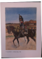 Planche : 14e Régiment de Cuirassiers 1812