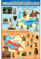 La civilisation Gréco-romaine : Les Crétois et les Grecs vers -2700 à -146